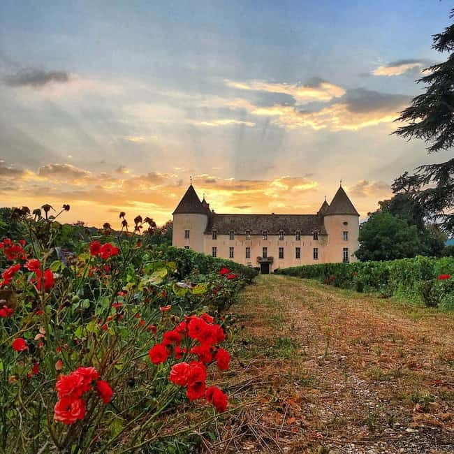 Check out the Château de Savigny museums: planes, cars, motorcycles... - How long the visit takes and how to plan the day