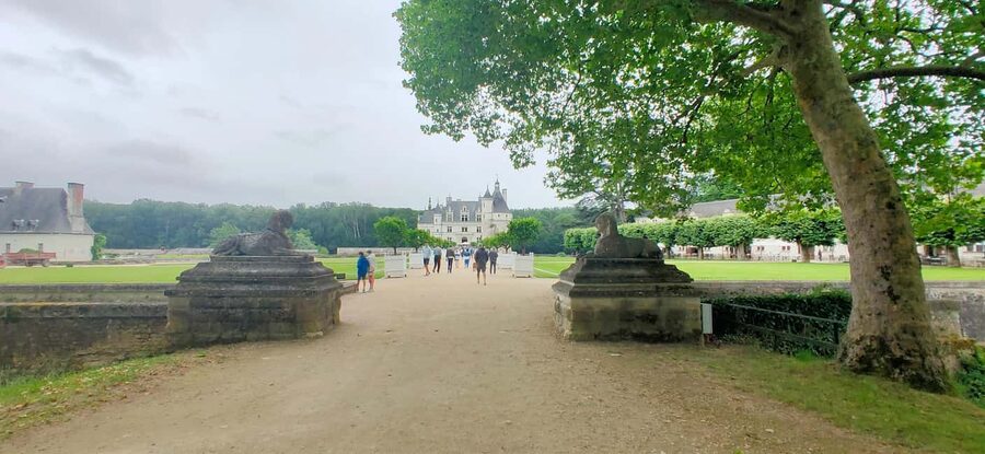 Chenonceau Castle: Private Guided Tour with Entry Ticket - Key points to know before booking