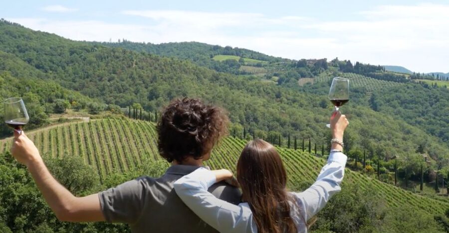 Chianti and Castles Tour From San Gimignano - Who should book this six-hour outing?