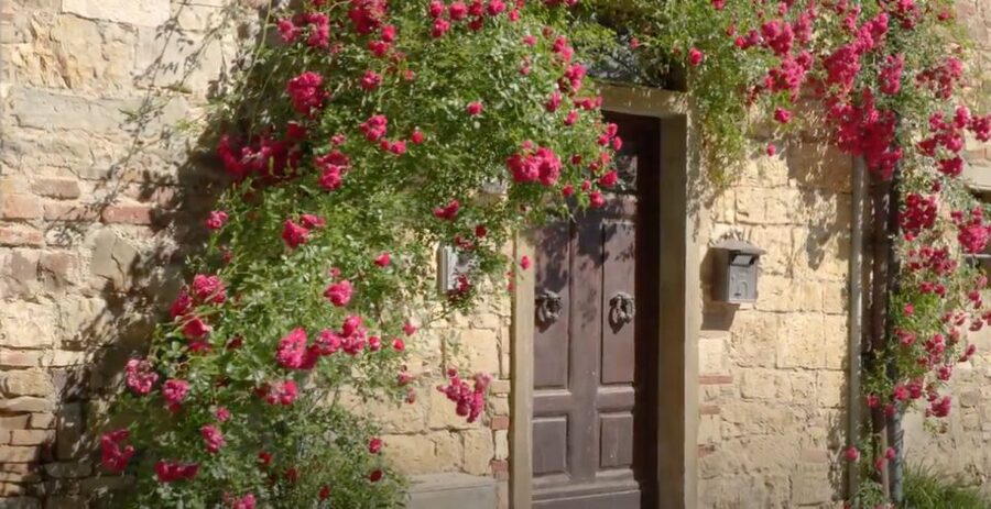 Chianti and Castles Tour From San Gimignano - What the drive adds, and what it costs