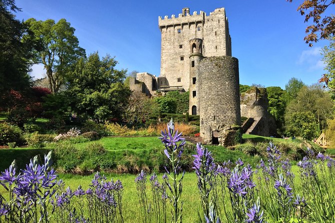 Cobh (Cork) to Blarney Castle & Kinsale - Shore Excursion - Kinsale gives the day a slower middle