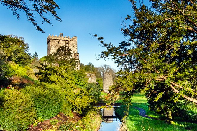 Cobh (Cork) to Blarney Castle & Kinsale - Shore Excursion - What the $95.53 price really covers