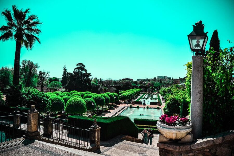 Cordoba: 2.5-Hour Guided Jewish Quarter and Alcazar Tour - Plaza Cardenal Salazar and the story of medicine