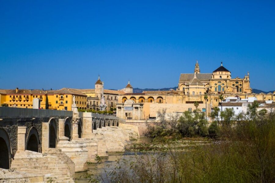 Córdoba: Alcázar and Jewish Quarter 2-Hour Guided Tour - Roman mosaics and a preserved sarcophagus