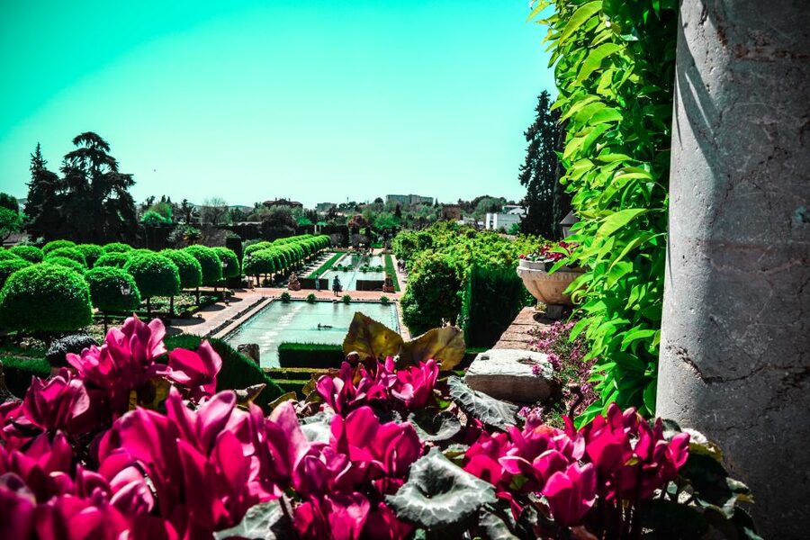 Cordoba: Alcázar de los Reyes Cristianos 1-Hour Guided Tour - Key points to know before booking