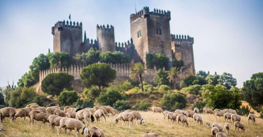 Córdoba: Almódovar Castle Entrance Ticket - Reaching the entrance and getting your bearings