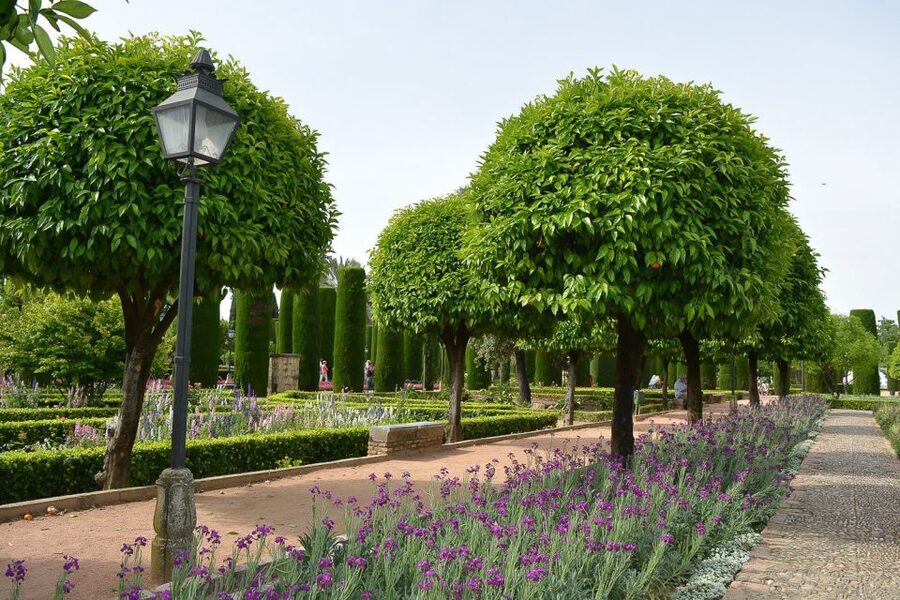 Cordóba: Gardens & Fortress of Catholic Monarchs Guided Tour - Is the $35 price good value?