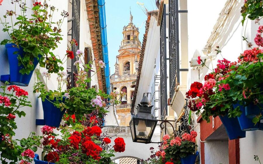 Córdoba: Mosque and Alcazar Private Tour with tickets - Starting at Puerta del Puente