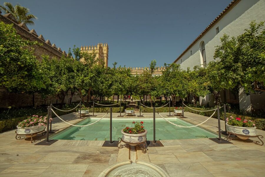 Córdoba: Mosque-Cathedral and Alcazar Tour - Timing, meeting point, and what to bring