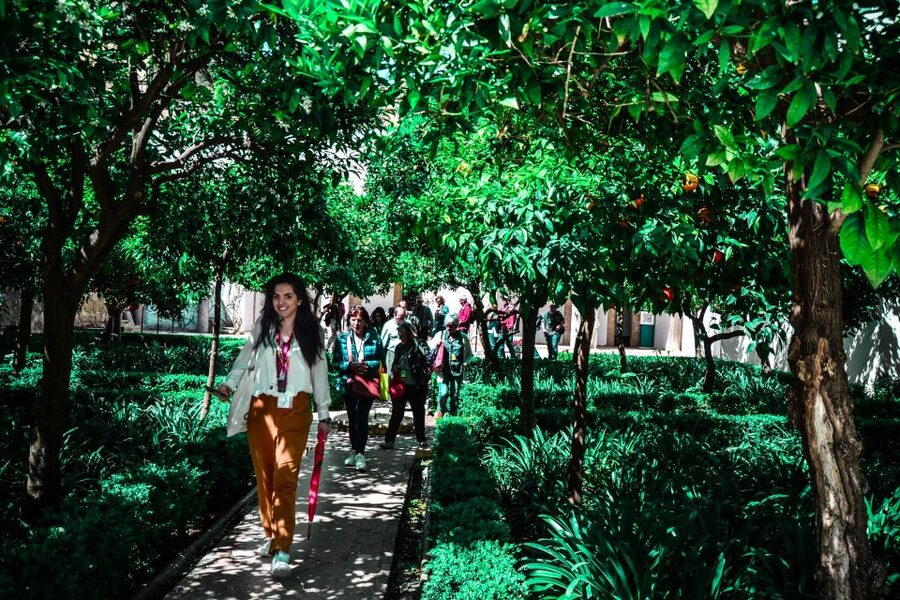 Córdoba: Mosque-Cathedral and Alcazar Tour - Should you book it?