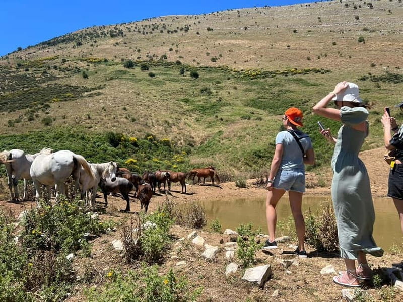 Daily Trip To:Blue Eye,Monastery,Gjirokaster&Lekursi Castle - Why this Albania day trip works so well