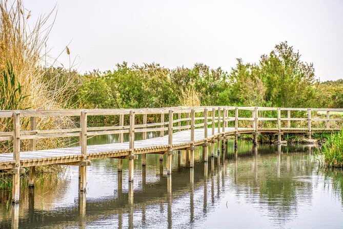 Day Tour Desert Castles & Azraq Wetland Reserve - Leaving Amman for the Umayyad desert