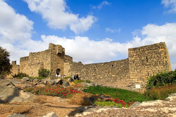 Day Tour Desert Castles & Azraq Wetland Reserve - What the $69 price really covers