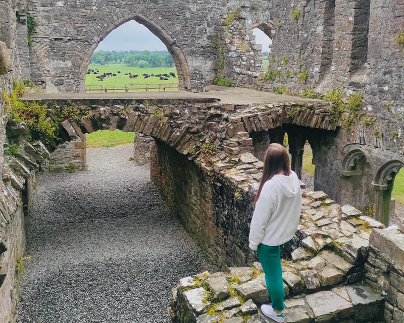 Day Tour: Hill of Tara Trim Castle Boyne Valley Celtic sites - Trim Castle and Ireland’s Norman chapter