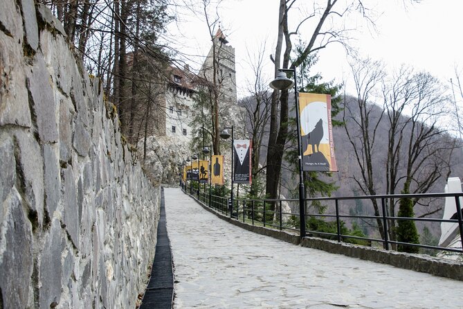 Day Trip Bear Sanctuary, Bran Castle, Rasnov Fortress from Brasov - Why this Brasov day trip works