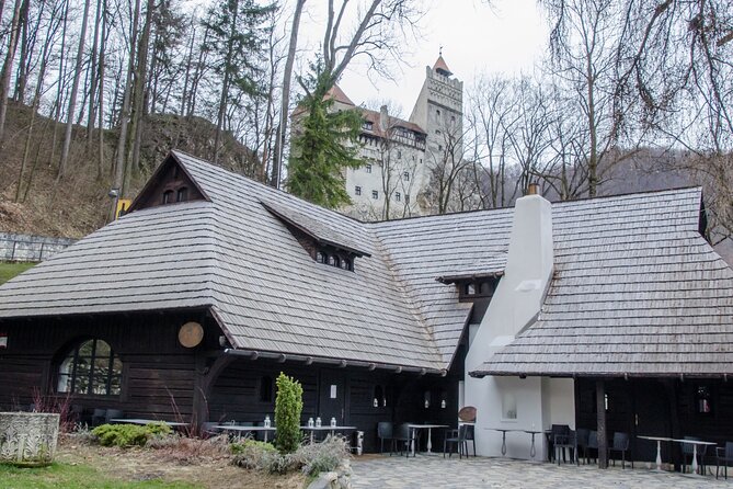 Day Trip Bear Sanctuary, Bran Castle, Rasnov Fortress from Brasov - LiBEARty Bear Sanctuary in Zarnesti