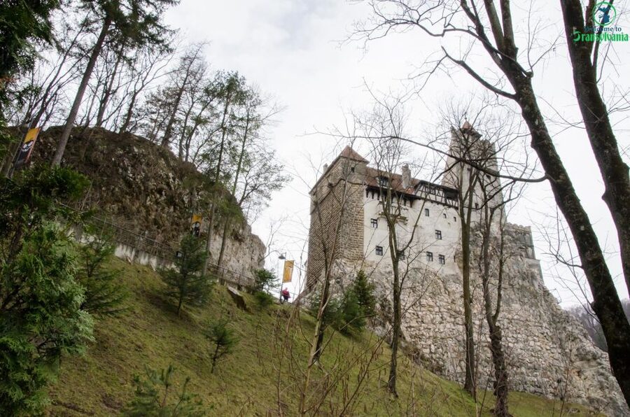 Day trip Bran Castle, Rasnov Fortress and Bear Sanctuary - Bran Castle: separating Dracula from history