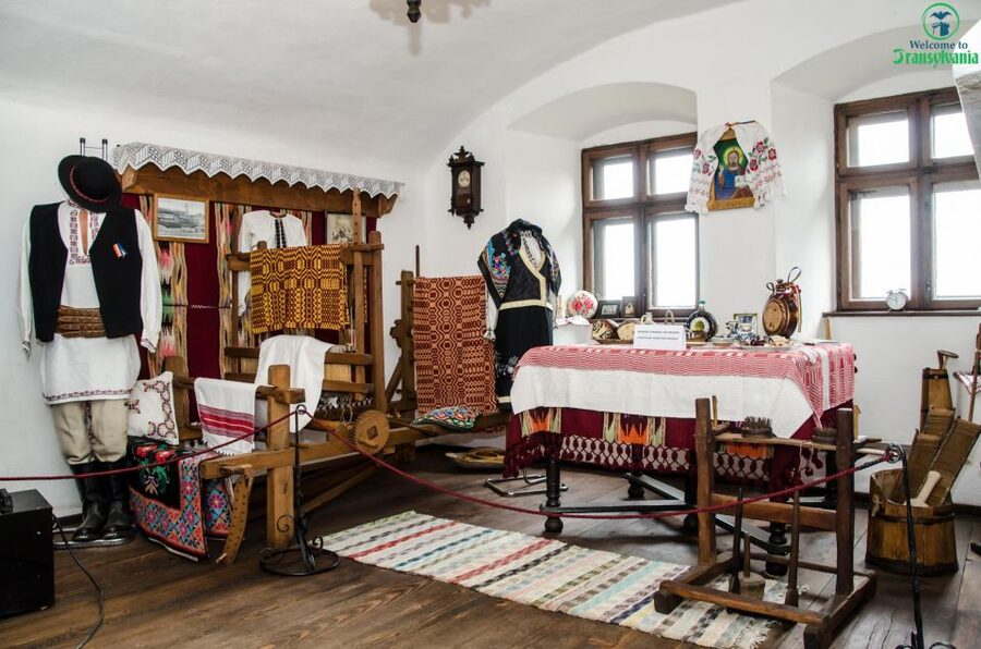 Day trip Bran Castle, Rasnov Fortress and Bear Sanctuary - The ride from Brasov and the guide experience