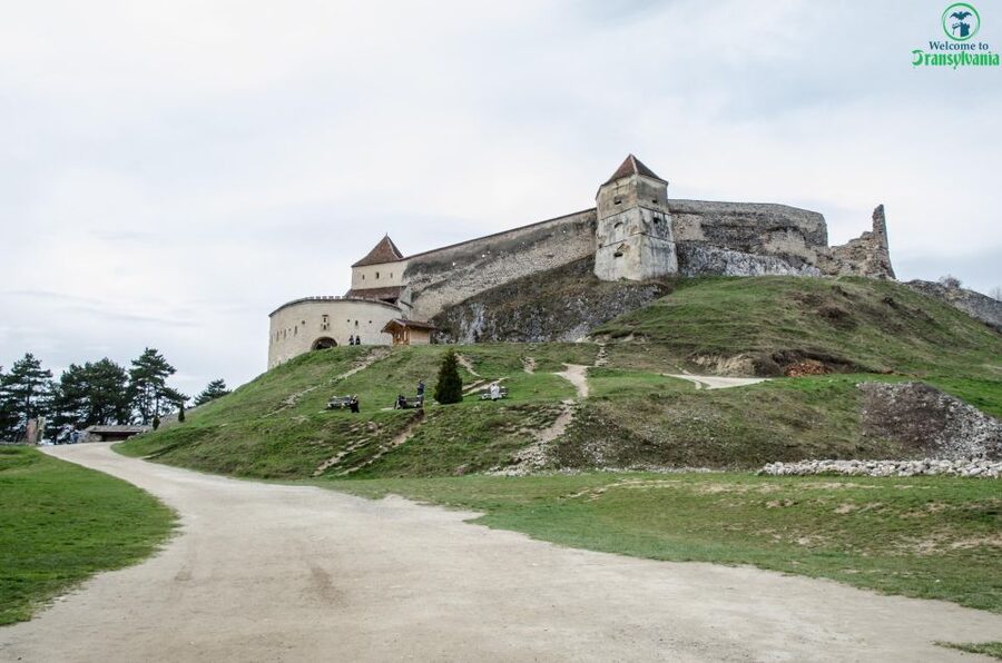 Day trip Bran Castle, Rasnov Fortress and Bear Sanctuary - Should you book the Bran, Rasnov, and bear sanctuary tour?