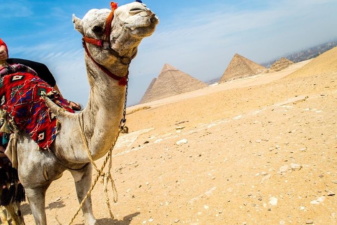 Day trip to Giza Pyramids Citadel & Bazaar - Who should book this Cairo day trip?