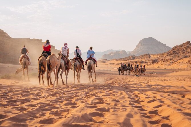 Day Trip to Petra, Wadi Rum, and Shobak Castle - Shobak Castle, a brief Crusader fortress stop