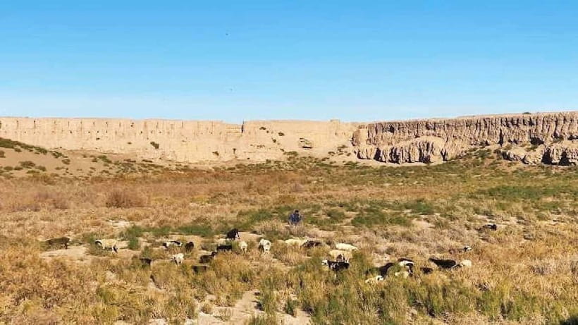 Daytrip from Khiva to Five Ancient Fortresses - Toprak-Kala, a former royal residence
