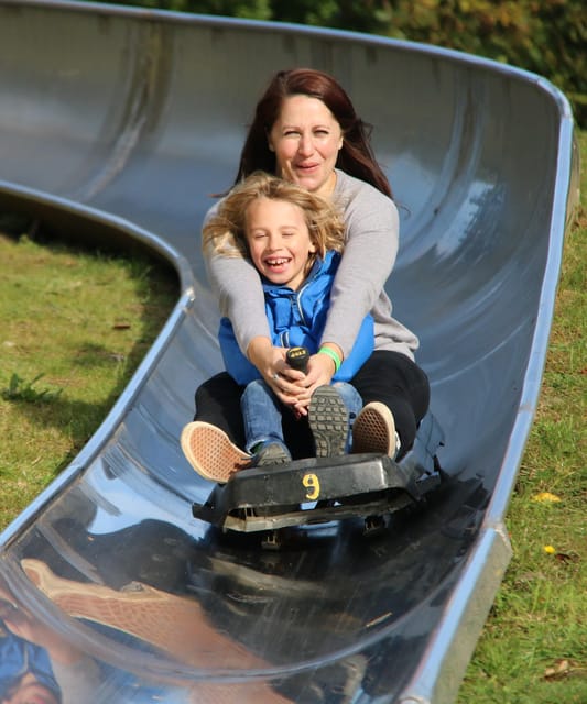 Devon: Watermouth Castle Entry - How the $20 entry price measures up