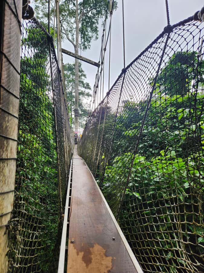 Discover Cape Coast and Elmina Castle with Kakum - Leaving Accra for Ghana’s Central Region