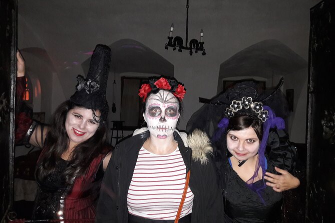 Dracula's Castle Halloween from Brasov -November 01 , 2025 - Waiting, cold weather, and costumes