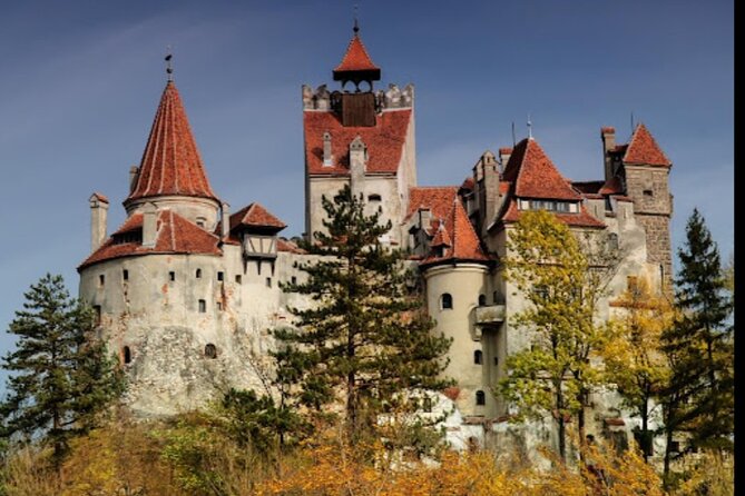 Dracula's Castle -Private Tour- with Brașov City and Peleș Castle - Brașov brings the history down to street level