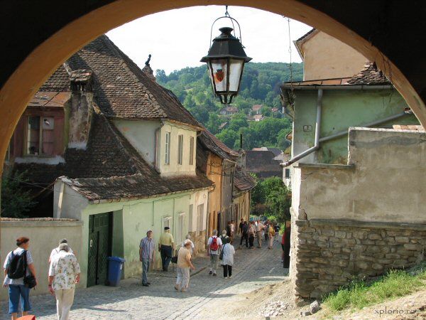 Dracula’s Castle & Sighisoara 2-Day Tour from Bucharest - From Bucharest to the Carpathian foothills