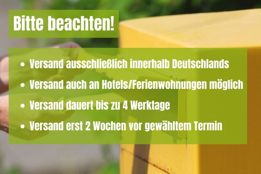 Dresden: Scavenger Hunt to Elbe River & Castles - A different way to see Dresden’s eastern Elbe