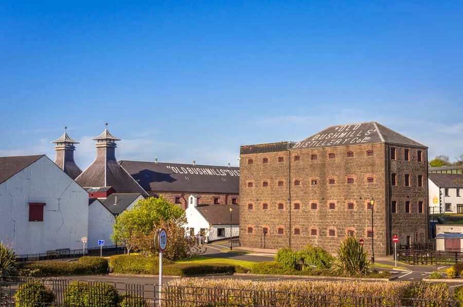 Dublin: Belfast Walk, Dunluce Castle & Giant’s Causeway - What the guides add to a long coach day
