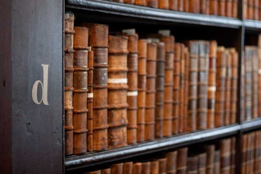 Dublin: Fast-Track Book of Kells Ticket & Dublin Castle Tour - Who will enjoy this Dublin tour most?