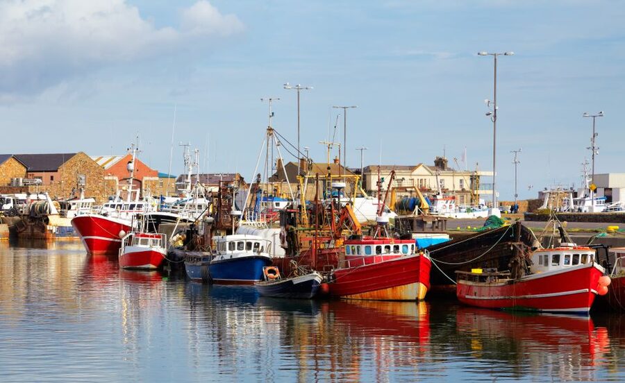 Dublin: Full-Day Howth and Malahide Castle Tour - Howth Summit and the optional coastal walk