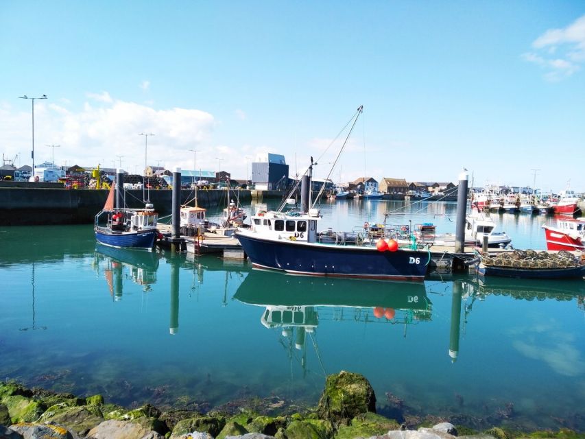 Dublin: Full-Day Howth and Malahide Castle Tour - Howth harbor, fishing boats, and possible seals