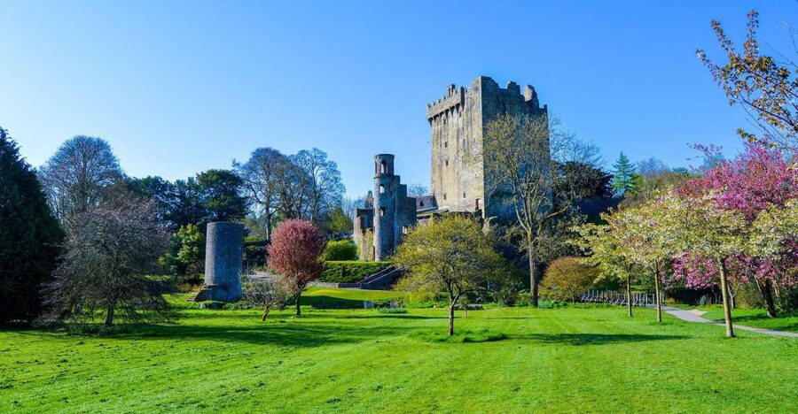 Dublin: Full-Day Tour to Cork, Cobh and Blarney Castle - The early train from Dublin to Cork
