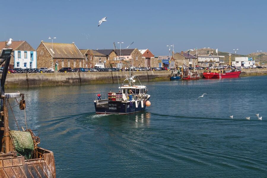 DUBLIN: Malahide castle and Howth MULTILINGUAL full day tour - Howth Summit and the optional walk