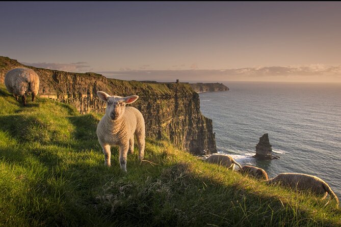 Dublin to Cliffs of Moher, Ennis Town & Bunratty Castle Day Tour - Ennis: lunch, music, and a little breathing room