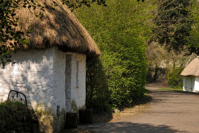 Dublin to Cliffs of Moher, Ennis Town & Bunratty Castle Day Tour - The guide and driver make the difference