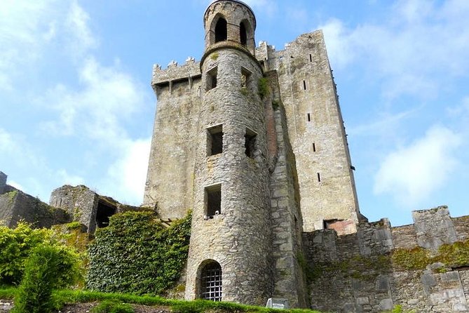 Dublin to Cork, Blarney Castle & Cóbh Heritage Centre by train - Blarney Castle: make your first choice quickly