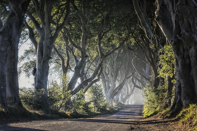 Dublin to Dunluce Castle, Giant's Causeway, Dark Hedges & Belfast - The guide matters more than the brochure