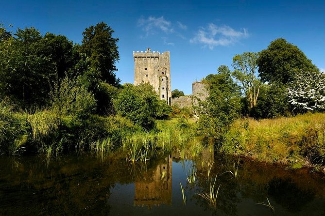 Dublin to Rock of Cashel, Cork City & Blarney Castle Guided Tour - Blarney Castle and the famous stone