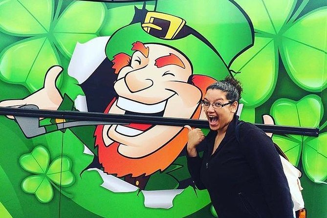 Dublin to Rock of Cashel, Cork City & Blarney Castle Guided Tour - What the long return to Dublin feels like