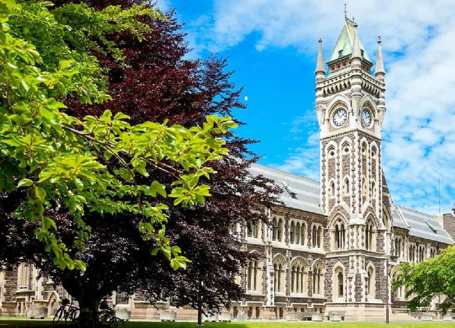 Dunedin City Highlights & Larnach Castle Tour - What the guide adds to the experience