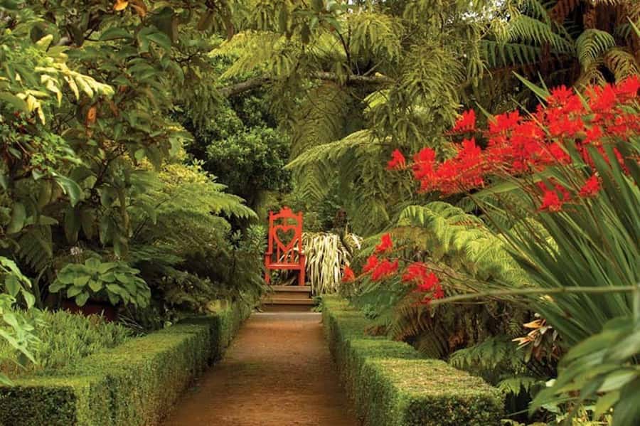Dunedin: Larnach Castle & Gardens Admission Ticket - The Turret Room and Historic Tower