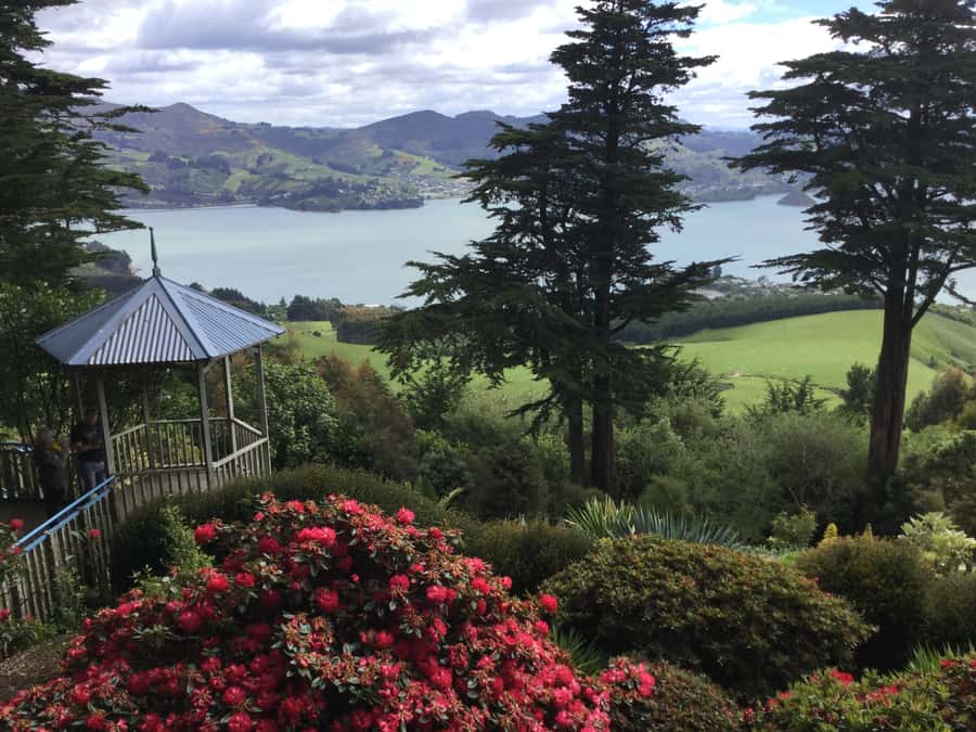 Dunedin: Peninsula with Lanarch Castle gardens & Olveston - Olveston Home gives the day its strongest historical stop