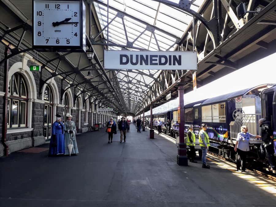 Dunedin: Peninsula with Lanarch Castle gardens & Olveston - Larnach Castle Gardens, with the interior as an optional extra