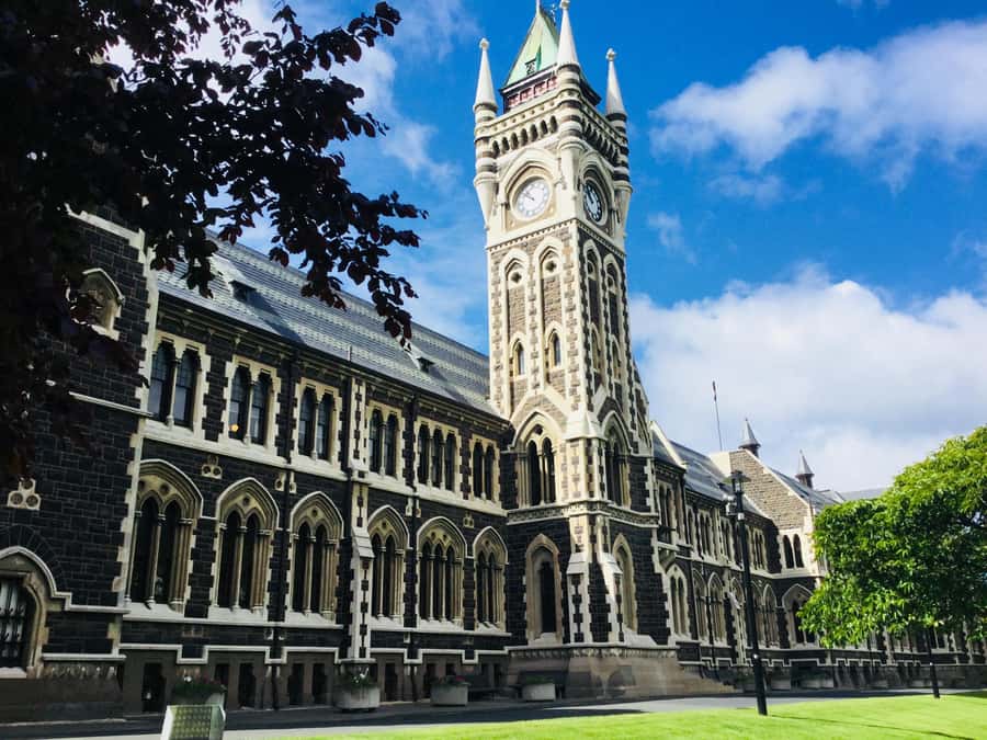 Dunedin: Peninsula with Lanarch Castle gardens & Olveston - Timing, walking, and who should book