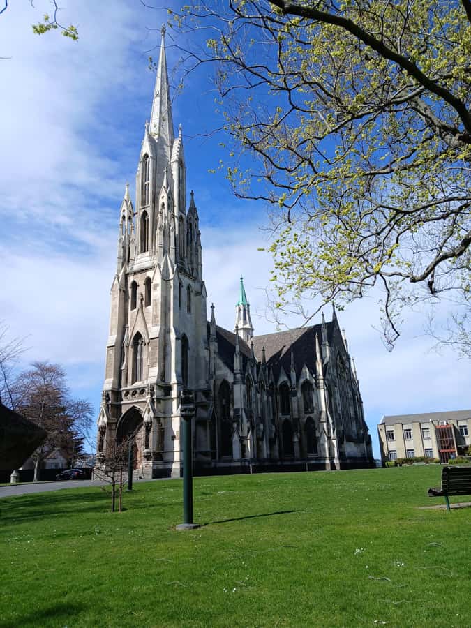 Dunedin: Peninsula with Lanarch Castle gardens & Olveston - What to bring and what to expect on the day